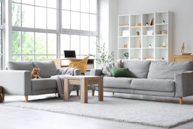 Oturma odasındaki kanepede yatan sevimli kedi.