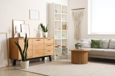 Çekmeceler, raf ünitesi, oturma odasındaki bitki ve çerçeveler.