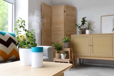 Oturma odasındaki çiçek saksısıyla hava nemlendirici, yakın plan.