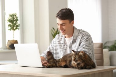 Genç adam masadaki dizüstü bilgisayarı kullanıyor ve evde sevimli bir kedi var.