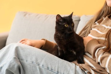 Oturma odasındaki kanepede oturan sevimli siyah kedili kadın.