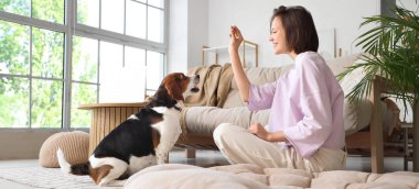 Genç kadın evde Beagle 'a atıştırmalık veriyor.