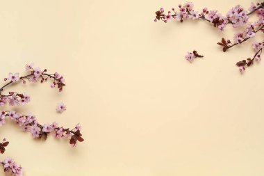 Bej arkaplanda çiçek açan dallardan oluşan çerçeve