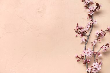 Bej arkaplanda çiçek açan dallar