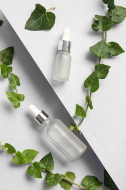 Temel yağ şişeleri ve hafif arkaplanda sarmaşık dalları ile kompozisyon