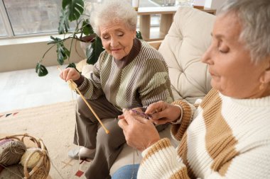 Üst düzey bayan arkadaşlar evdeki kanepede örgü örüyor.