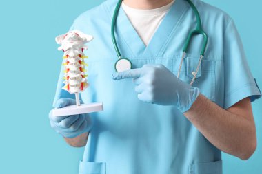 Mavi arka planda omurga modelini gösteren erkek doktor.