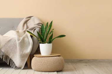 Oturma odasındaki bej duvarın yanında ekose ve çiçekli gri rahat kanepe.