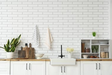 Interior of light kitchen with white counters, houseplant and utensils