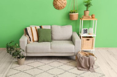 Kanepesi ve çiçekleri olan modern bir oturma odası.