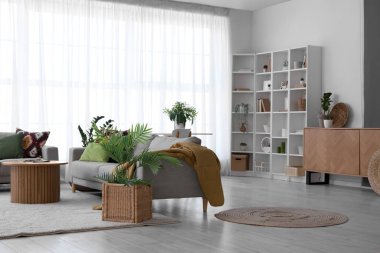 Interior of living room with sofas, shelf unit and green plants