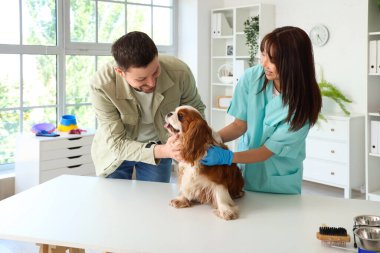 Şirin köpeği ve klinik sahibi olan Asyalı kadın veteriner.