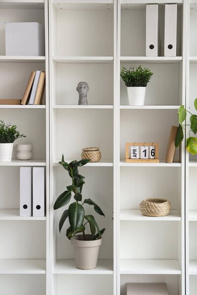 Shelf unit with plants and folders in room