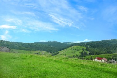 Ukrayna Karpat Dağları'nın güzel manzara