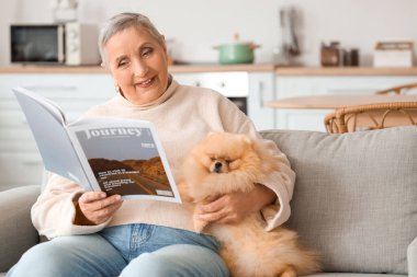 Pomeranya köpek okuma dergisinde kıdemli kadın.