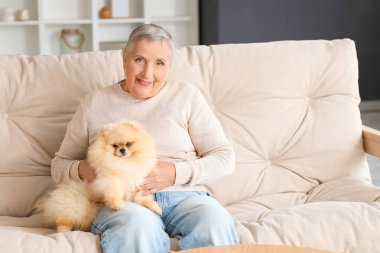 Pomeranya köpekli yaşlı kadın evdeki kanepede dinleniyor.