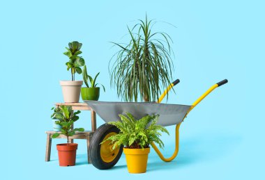 Mavi arka planda bir sürü bitki ve el arabası var.