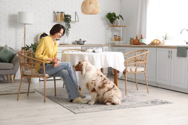 Avustralya çoban köpeğiyle masada oturan genç ve güzel bir kadın.