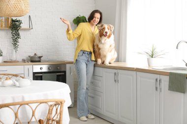 Avustralya çoban köpeği olan güzel genç bir kadın mutfakta tezgahta bekliyor.