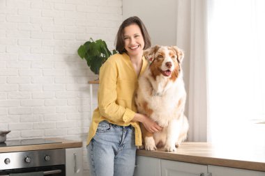 Avustralya çoban köpeği olan güzel genç bir kadın mutfakta tezgahta bekliyor.