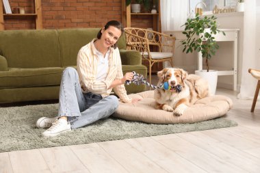 Güzel genç bir bayan evde şirin bir Avustralya çoban köpeğiyle oynuyor.