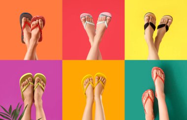 Renk arkaplanında parmak arası terlik giymiş bacak kümesi