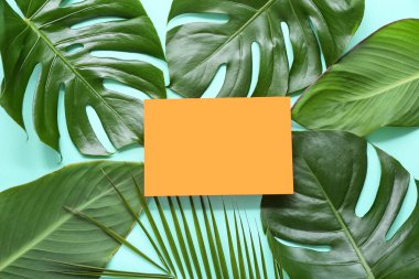 Turkuaz arka planda farklı tropik yapraklara sahip boş kart
