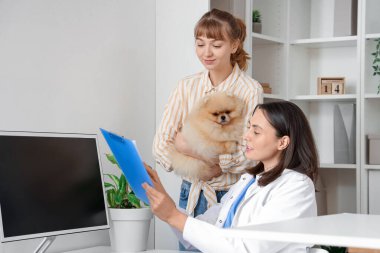 Sahibi, Pomeranian köpeğini klinikteki veteriner randevusuna getirmiş.