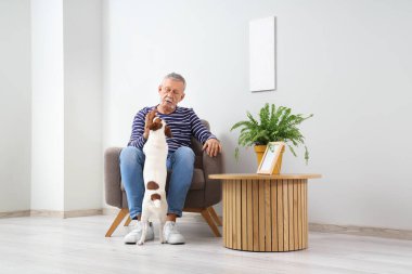 Hoş Jack Russell teriyeri olan olgun bir adam evdeki koltukta oturuyor.