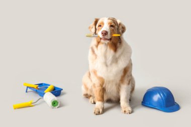 Açık arkaplanda sevimli köpek ve dekoratör araçları