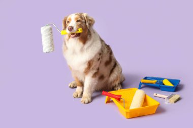 Leylak arka planında sevimli köpek ve dekoratör aletleri