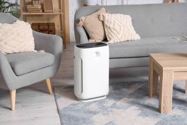 Oturma odasındaki kanepenin yanında hava nemlendirici var.