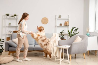 Evinde elinde şirin Avustralya çoban köpeğinin patileri olan genç bir kadın.