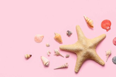 Deniz yıldızlı kompozisyon ve pembe arka planda farklı deniz kabukları