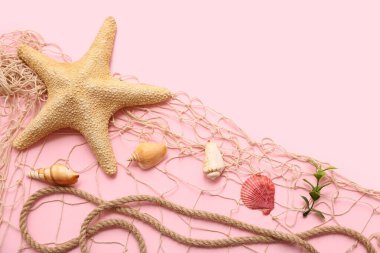 Renkli arka planda deniz yıldızı, deniz kabuğu ve balık ağı bileşimi