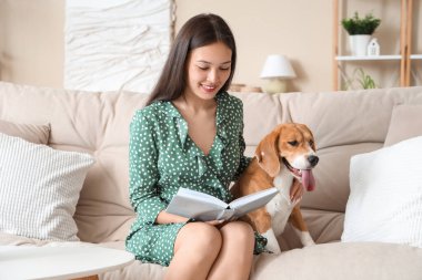 Kitaplı genç bir kadın oturma odasındaki kanepede tapılası Beagle köpeğini okşuyor.