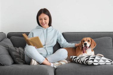 Oturma odasındaki kanepede sevimli Beagle köpeğinin yanında kitap okuyan genç bir kadın.