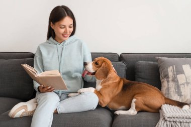 Genç bir kadın kitap okuyor ve oturma odasındaki kanepede sevimli bir tazı köpeğiyle oturuyor.