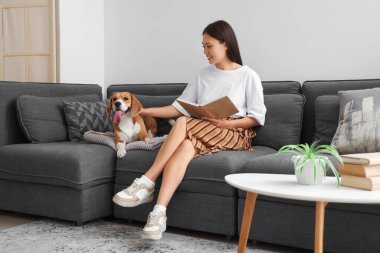 Genç bir kadın kitap okuyor ve oturma odasındaki kanepede sevimli bir Beagle köpeği okşuyor.