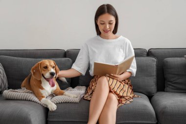 Genç bir kadın kitap okuyor ve oturma odasındaki kanepede sevimli bir Beagle köpeği okşuyor.