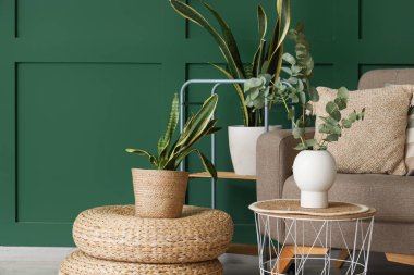 Çiçek, koltuk ve okaliptüs vazosu güzel odadaki sehpanın üzerinde.