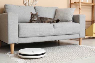 Modern robot vacuum cleaner and cute cat lying on sofa at home