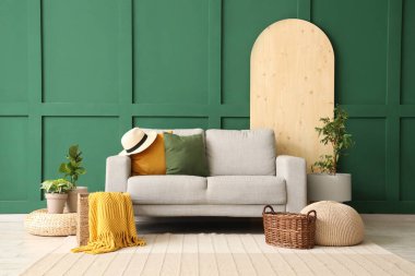 Gri kanepesi, sepetleri ve bitkileri olan şık bir oturma odası.