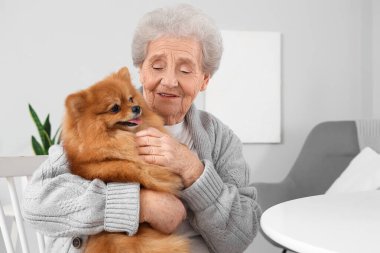 Evde Pomeranya köpeğine sarılan son sınıf öğrencisi kadın.