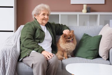 Pomeranya köpeği olan yaşlı bir kadın evdeki kanepede oturuyor.