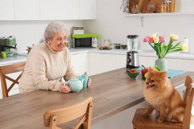 Mutfaktaki masada çay ve Pomeranya köpeği olan yaşlı kadın.