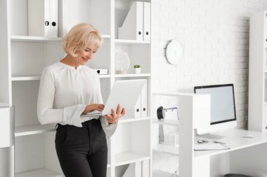 Ofiste dizüstü bilgisayarla çalışan olgun bir iş kadını