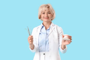 Çene modeli ve mavi arka planda araçlar ile kadın dişçi