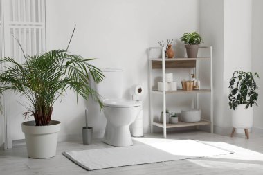 Tuvaletin içinde klozet, raf ünitesi, bitki ve katlama ekranı beyaz duvarın yanında.