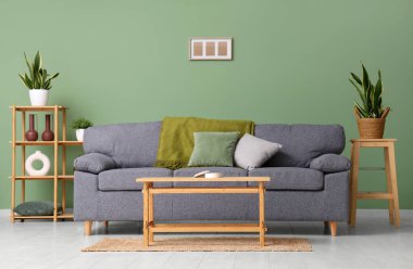 Şık gri kanepe, ahşap sehpa ve yeşil duvarın yanında bitkiler.